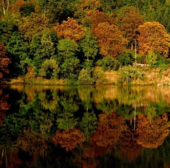 [17+NOVEMBRO+2005.jpg]