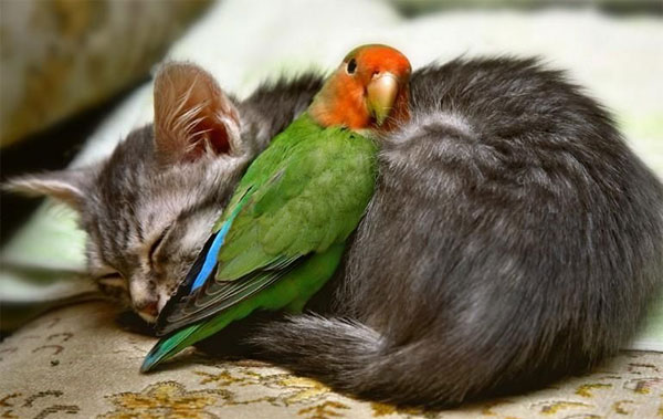 [uncondicional+love.jpg]