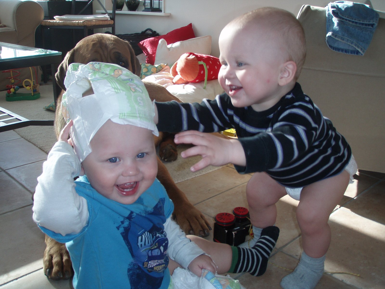 Livets Cirkus: Hur en blöja blir en mössa