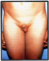 n1cc1f3.jpg