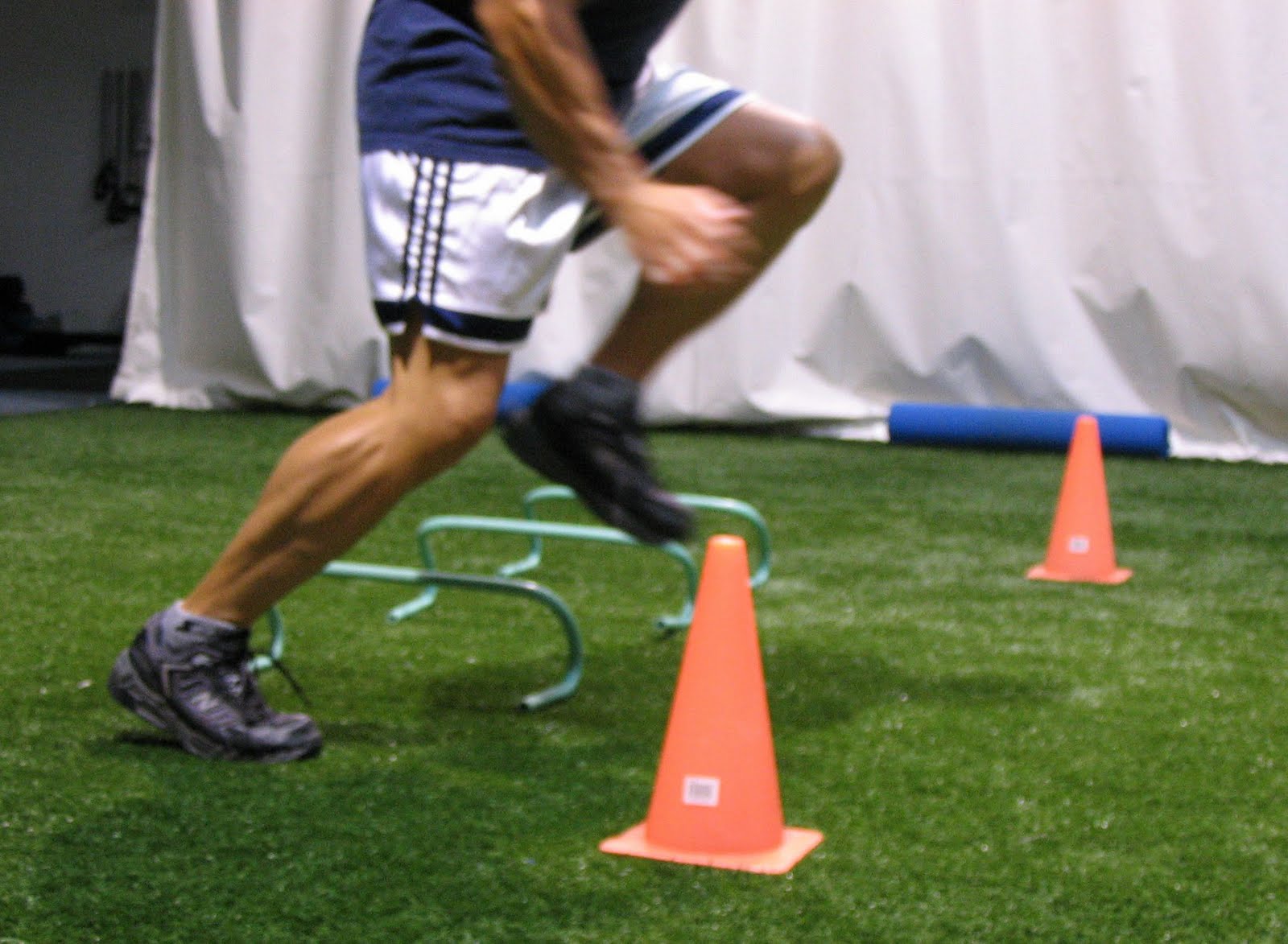 3D Optimal Performance Guide How to functionally condition athletes that dominate
