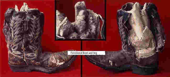 [fossilboot.jpg]