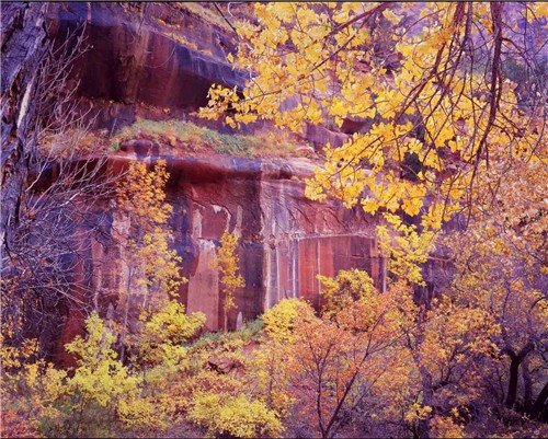 THE GRAND CANYON IN AUTUMN - 180 MILES FROM OUR HOME