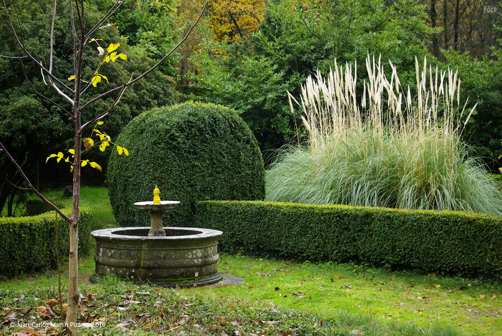 Fotos de cualquier parte: El Bosque (y IV). Jardines y bosques (y II)