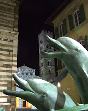 Sono arrivati i delfini in Piazza San Giovanni, ora ci aspettiamo un mare di voti