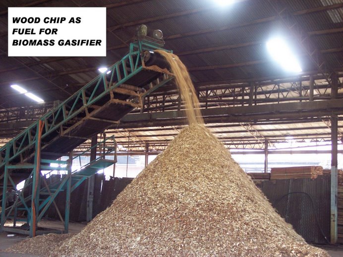 Wood Chip