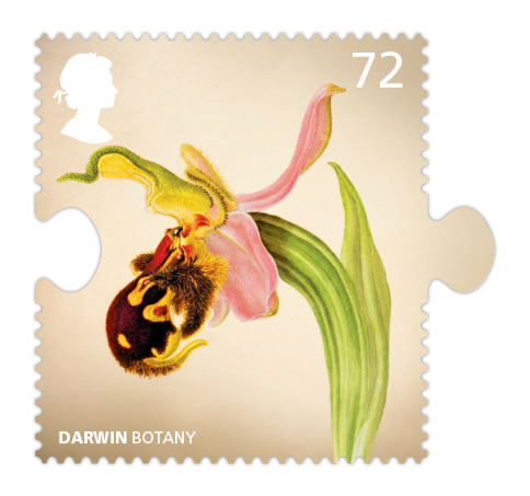 darwin orchid  stamp