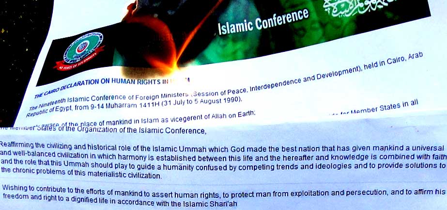 Don't bother about stupid books, focus instead on OIC's islamofascist sharia manifesto!