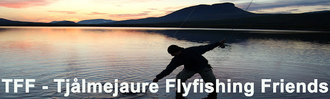 TFF - Tjålmejaure Flyfishing Friends