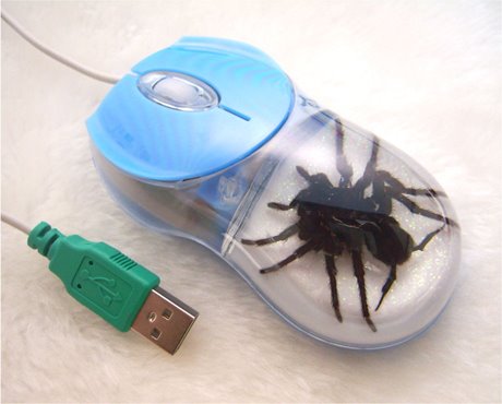 [spider-mouse.jpg]