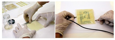 [patented-color-changing-dis.jpg]