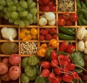 [alimentos_organicos03.jpg]