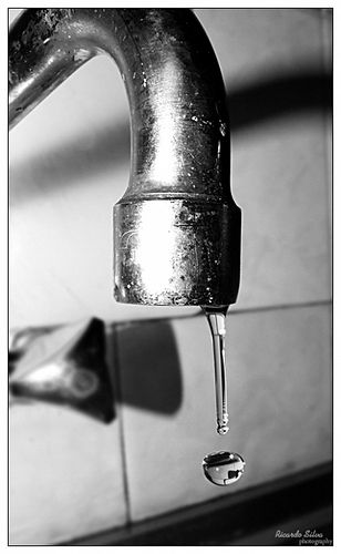 [2251433600_18f3fc0107.jpg]