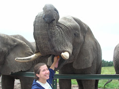 Elephants have slimy tongues..in case you ever need to know