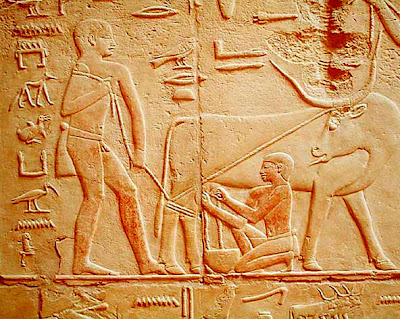 EGYPT HISTORY , TOURISM: Old Kingdom