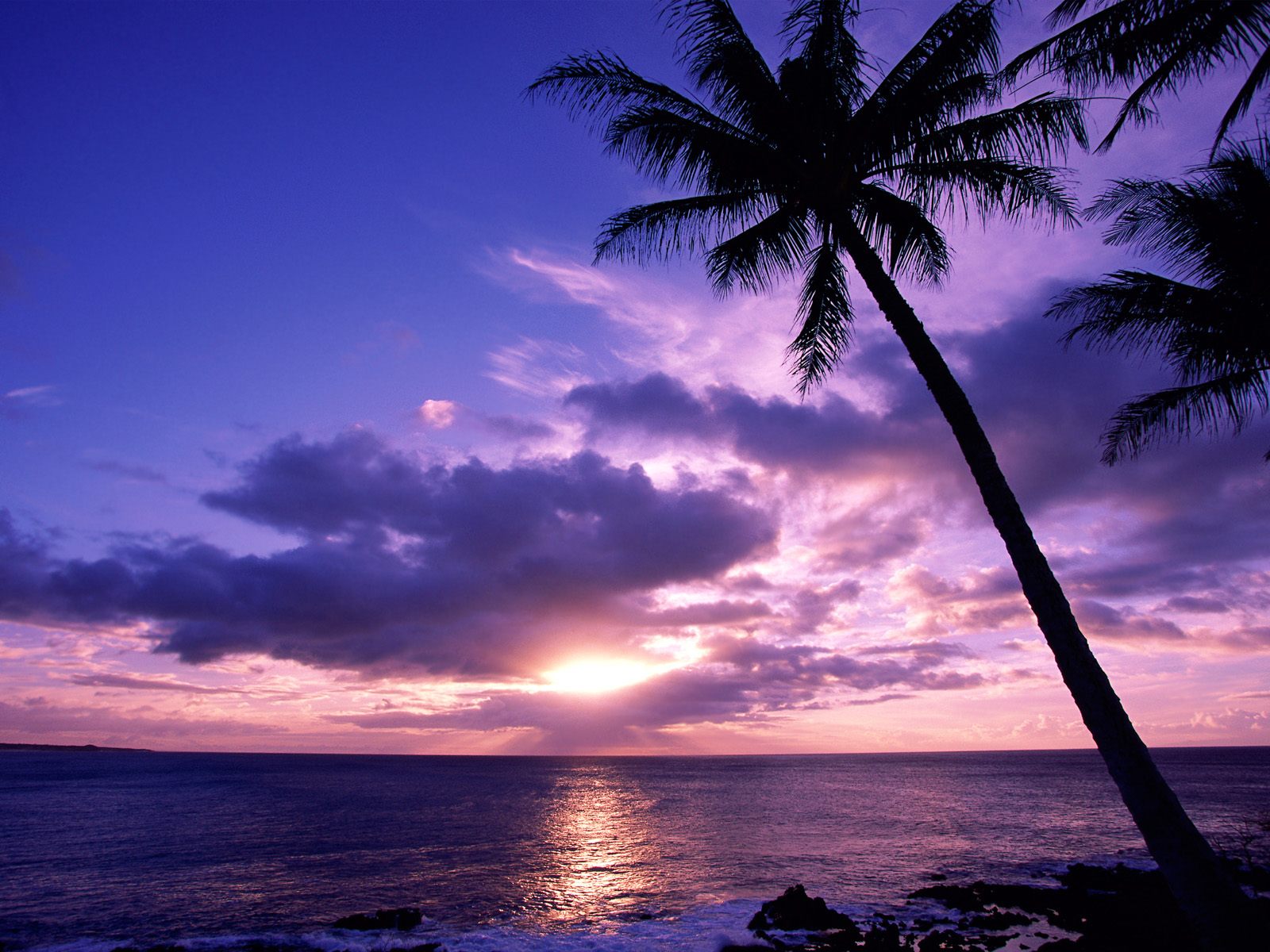 [Tahitian+Paradise.jpg]