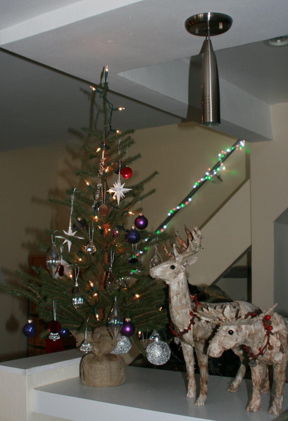 [Christmas+decorations.JPG]