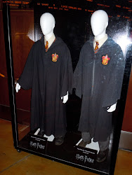 harry potter ron costumes weasley hermione granger display