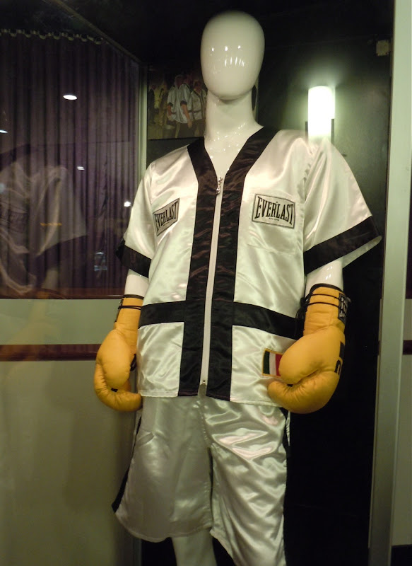 Mark Wahlberg's The Fighter boxing costume