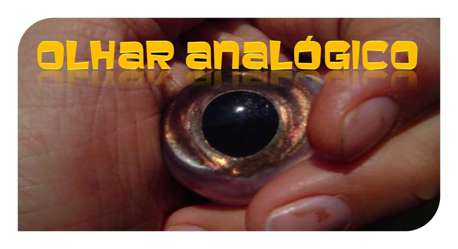 OLHAR ANALÓGICO