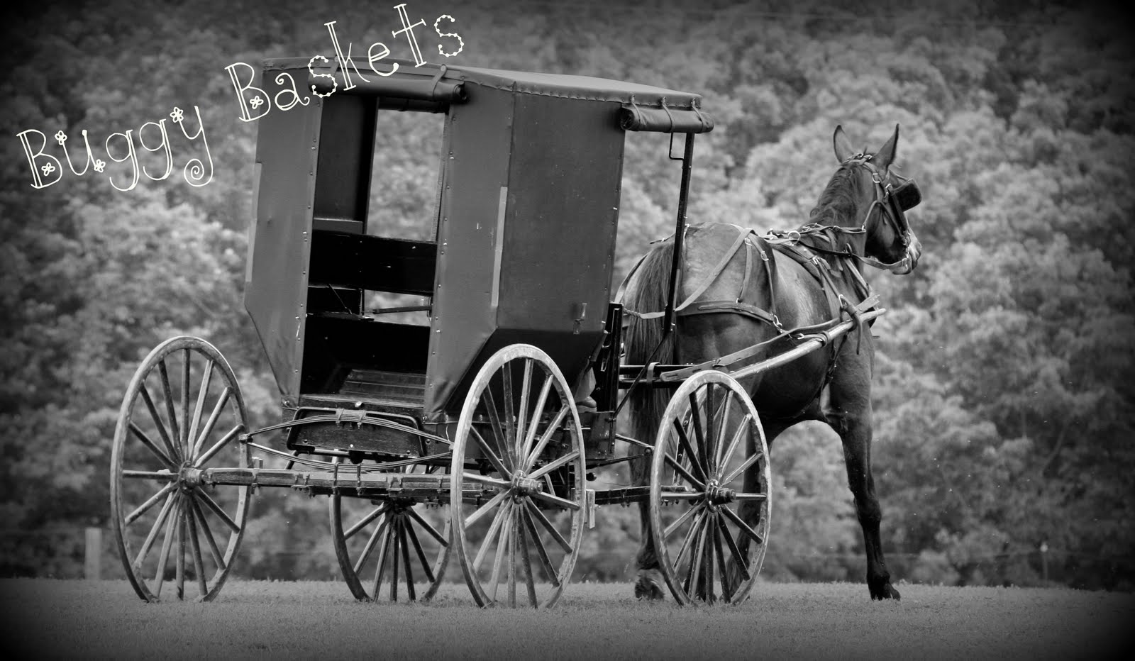 Buggy Baskets