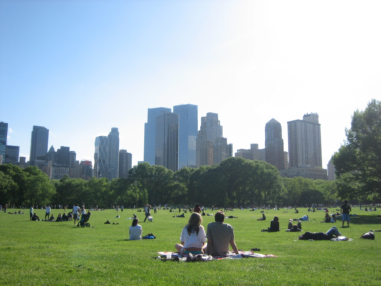 нью йорк город контрастов