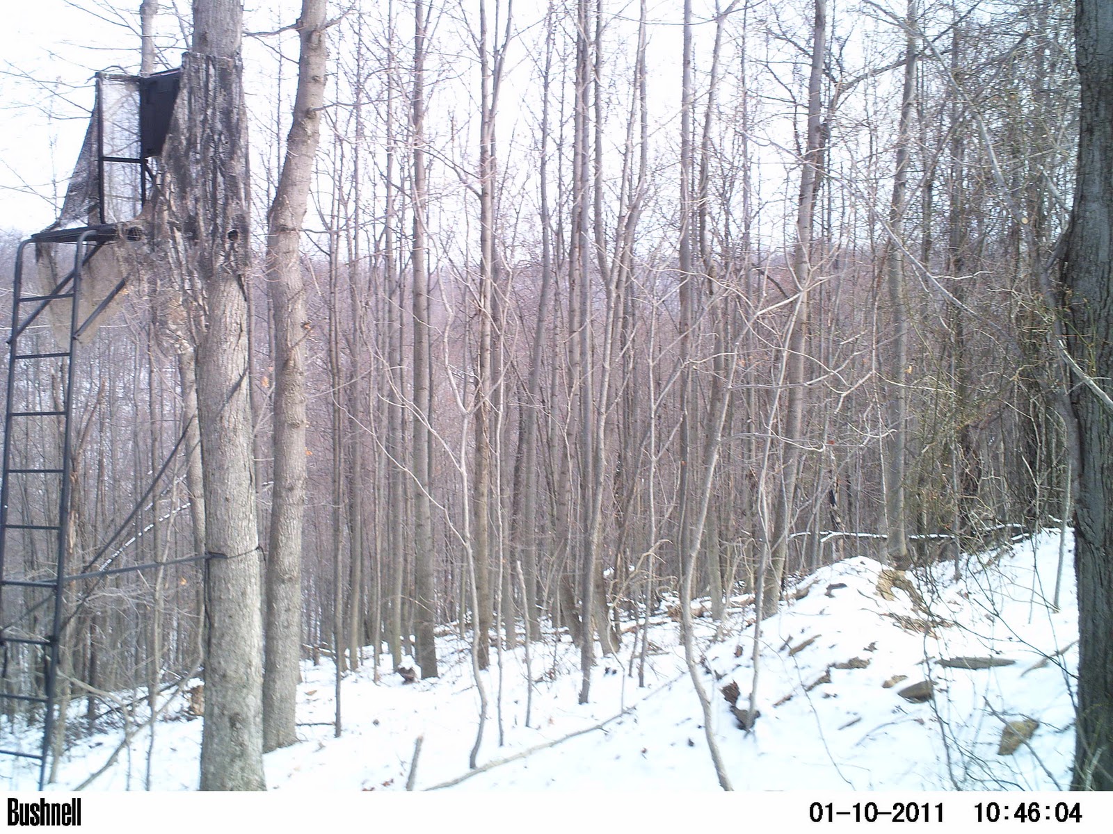 Laurel Ridge Farm Black Powder Season The Finale