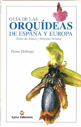 Orquídies d'Europa