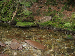 A stream connecting to the bay of Fundy