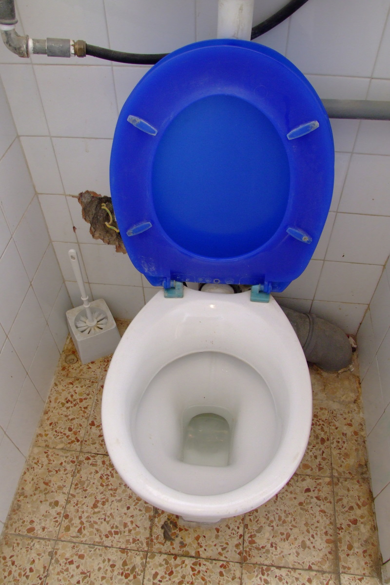 [dscf3659.jpg]