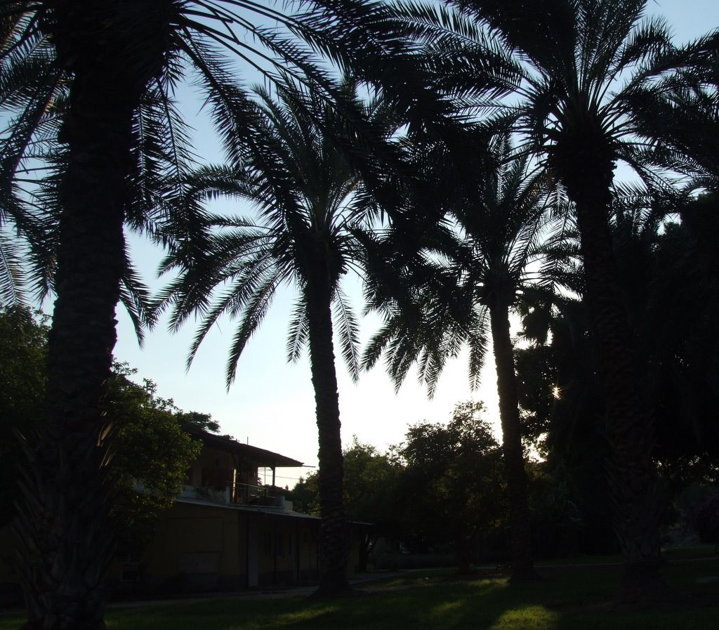 [DSCF6357.JPG]