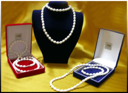 Agen Resmi Kalung Biofir