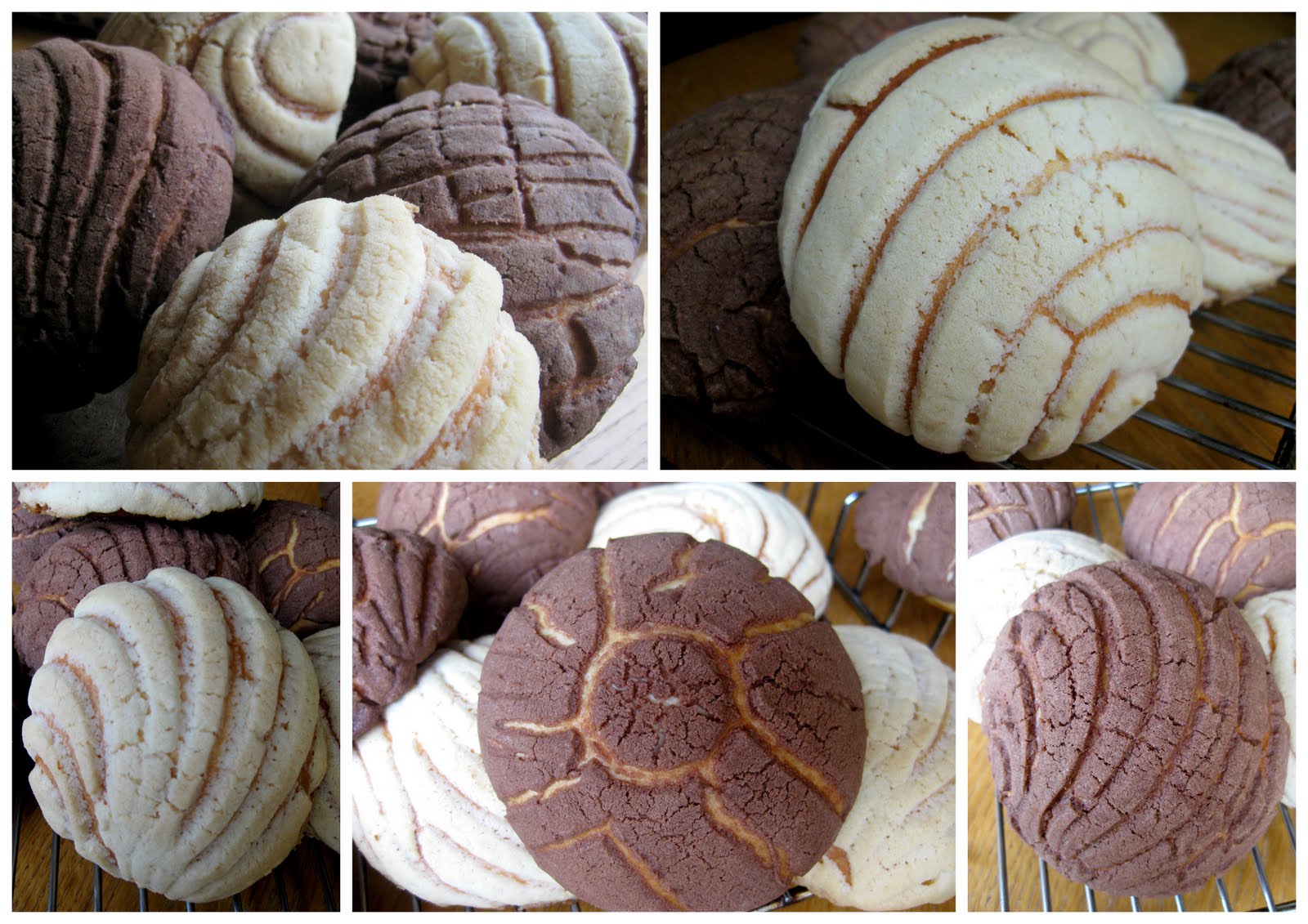Conchasel pan dulce mexicano Mis recetas favoritas by Hilmar