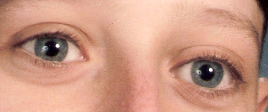 The who behind blue eyes picture