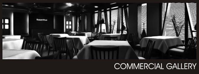 3D Commercial Gallery