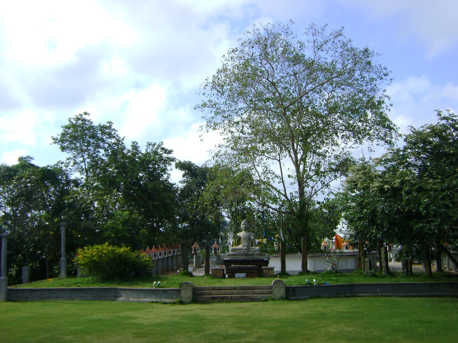 DSC00651.jpg