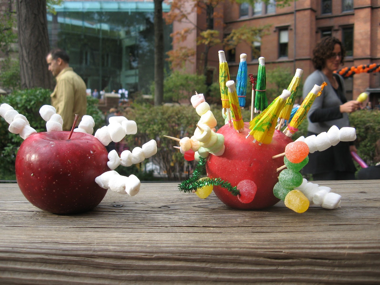 mcbrooklyn Good Times at Packer's Pumpkin Patch, Brooklyn Heights