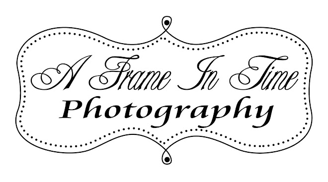 A Frame In Time Photography Blog--Newborn, Infant and Maternity Photography Appleton, WI