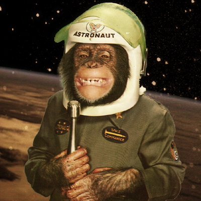 Cosmos Chronicles (développement : 20%) Chimp-ham-monkey-astronaut-grawitz-tumor