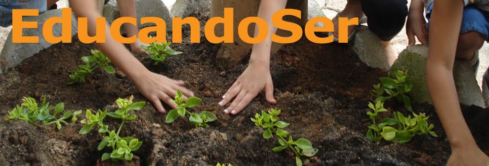 Educando Ser