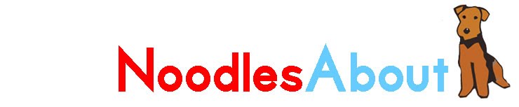Noodles About