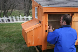chicken much coop coops barns horse door single