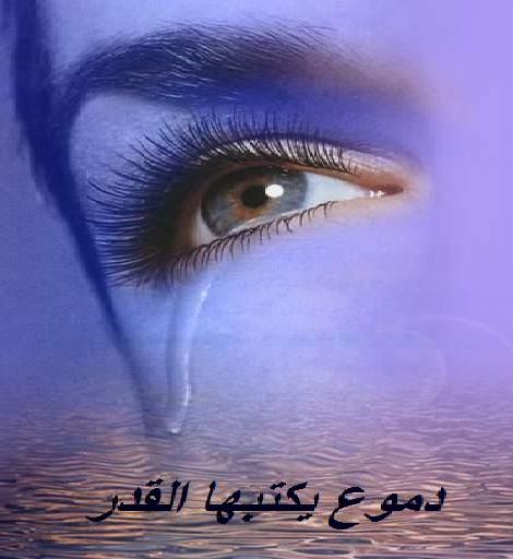 ���� ������ بييي.jpg