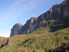Incendio en Tepuy Roraima Parque Nacional Gran Sabana