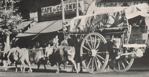 Carreta La Cachirla - data del año 1885 (Volviendo del pasado por calles de Mataderos- 1985 circa.)