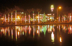 Lagoon During Christmas