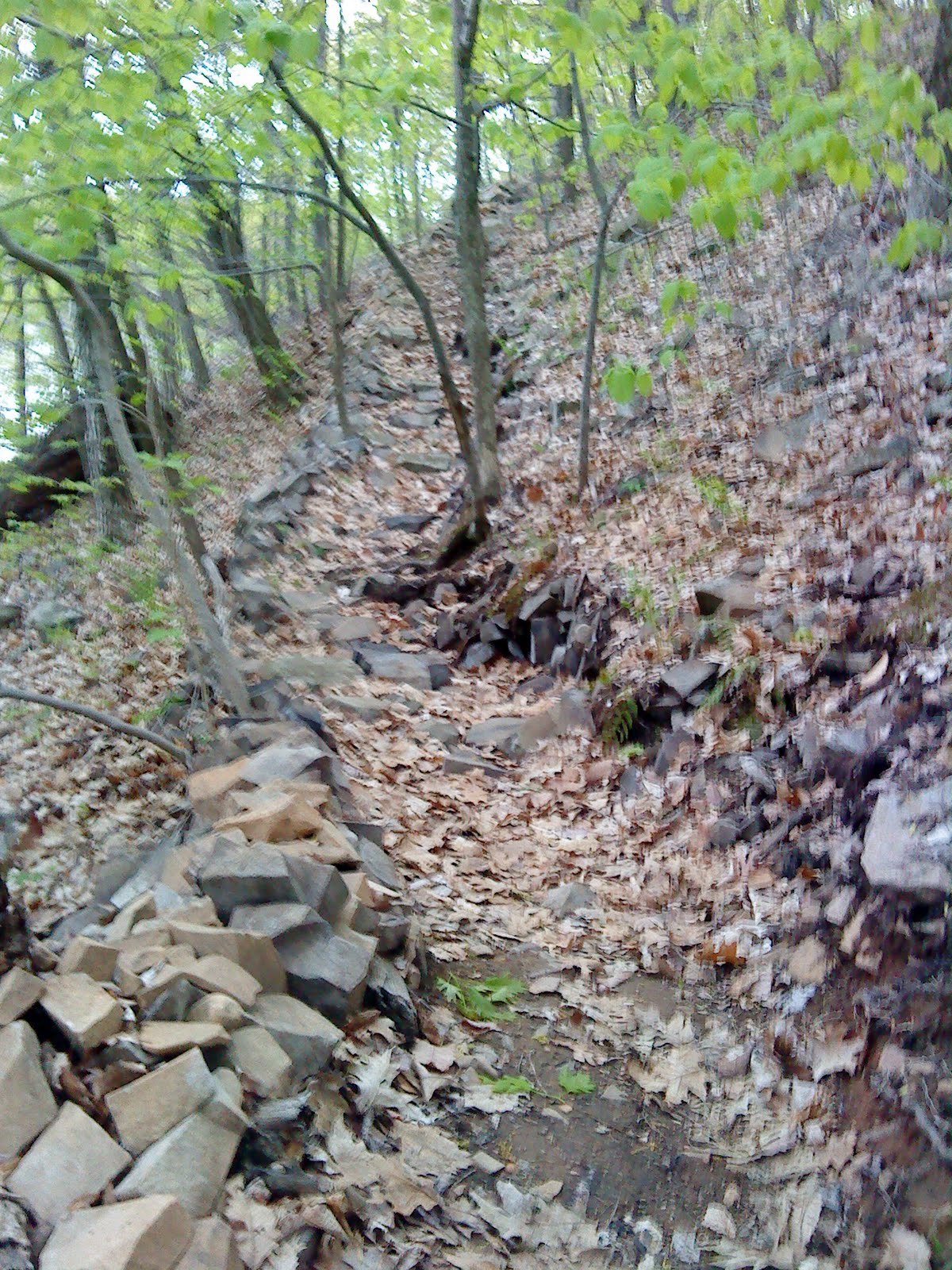 the beat bike blog The hardest trail in the world!