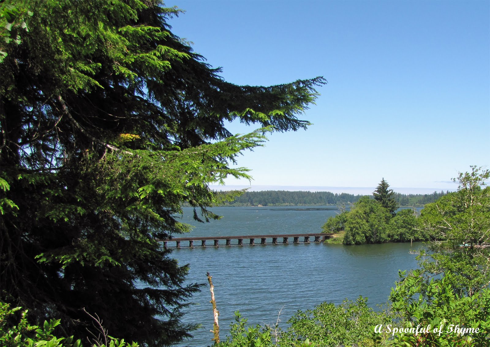 Central Oregon Coast Siltcoos Lake
