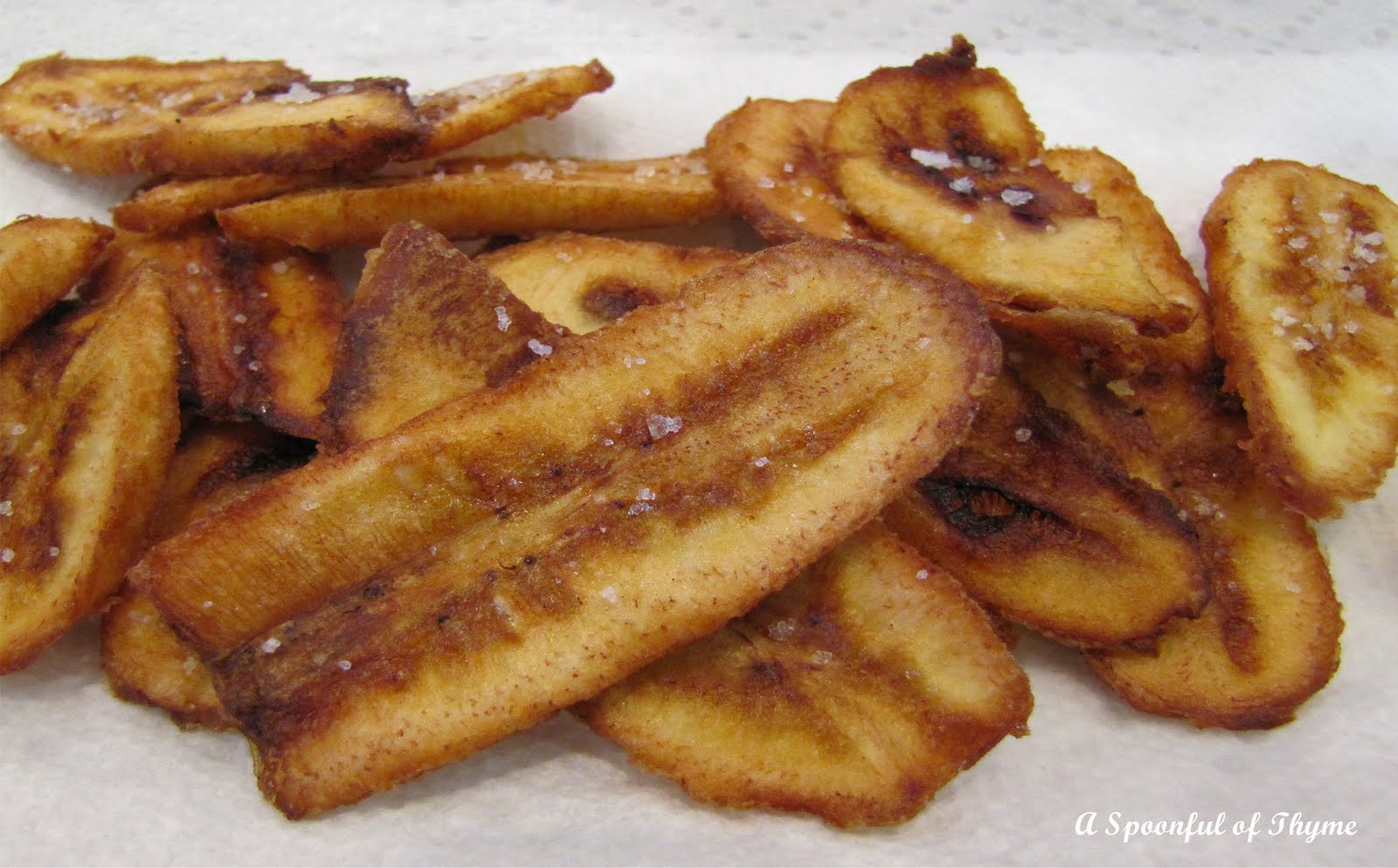 Plantain Chips with Mojo and Creamy Cilantro Garlic Dip