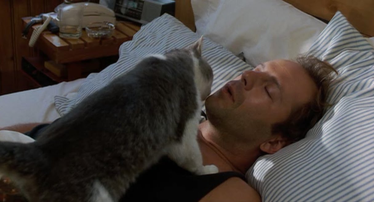bruce_bob.jpg bruce_bob.jpg